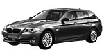 BMW F11 P301E Fault Code